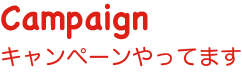 Campaign キャンペーンやってます